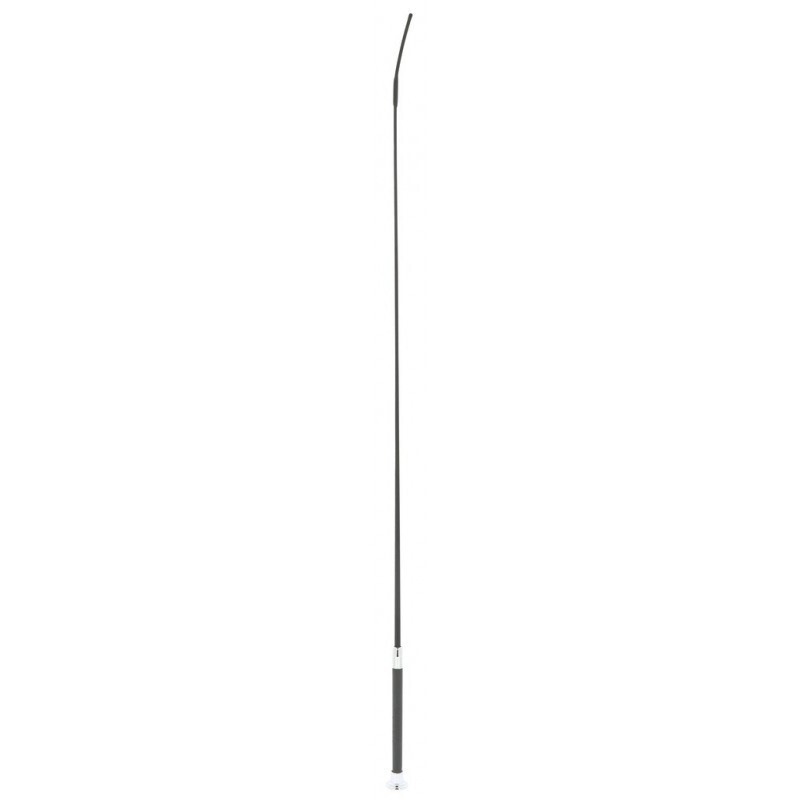 Whip &amp; Go - Cravache de dressage