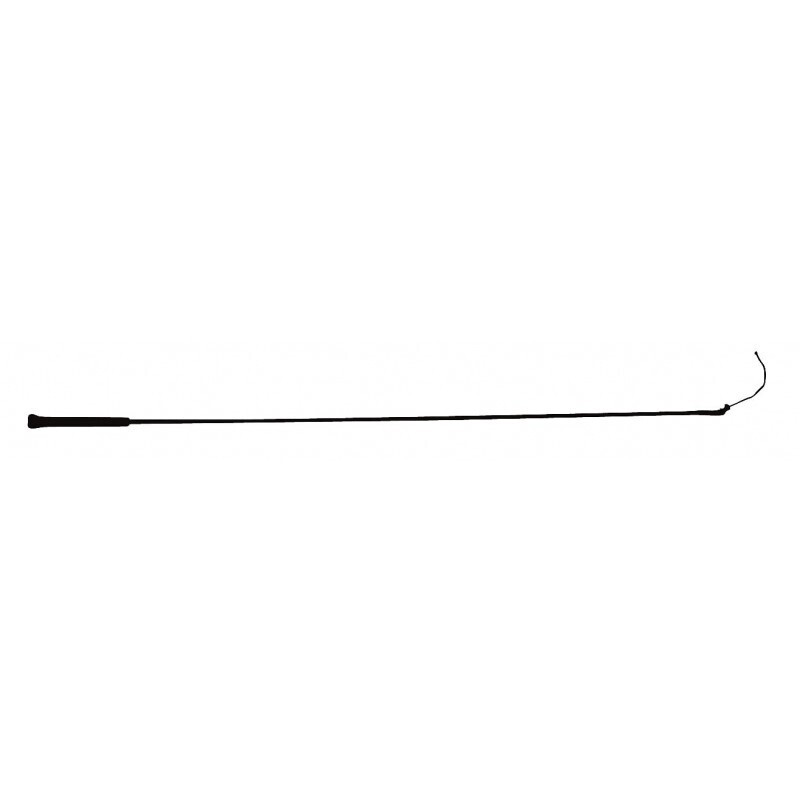 Whip &amp; Go - Cravache de dressage
