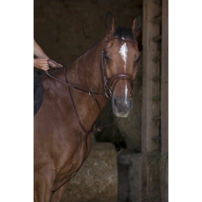 Norton - Martingale à anneaux