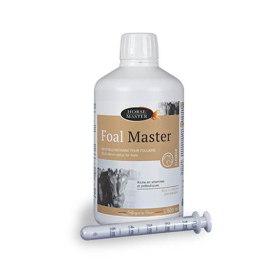 Horse Master - Foal master