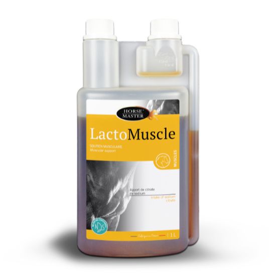Horse Master - Lactomuscle