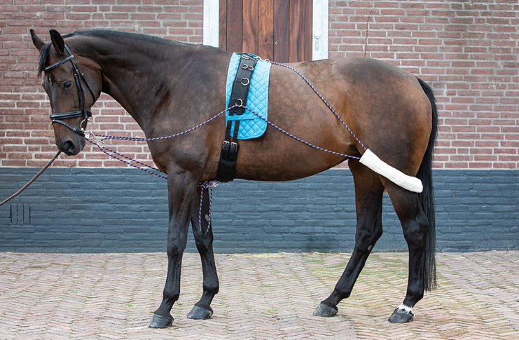 Harry&#39;s Horse - Pessoa