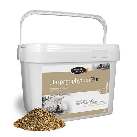 Horse Master - Harpagophytum pur