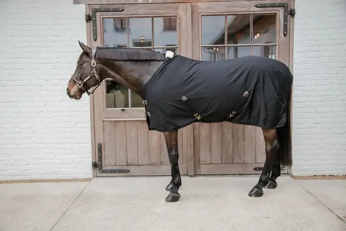 Kentucky Horsewear - Chemise coton