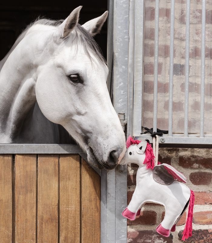 Waldhausen - Jouet Licorne