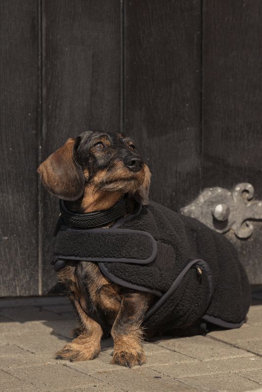 Eskadron - Couverture pour chien Héritage