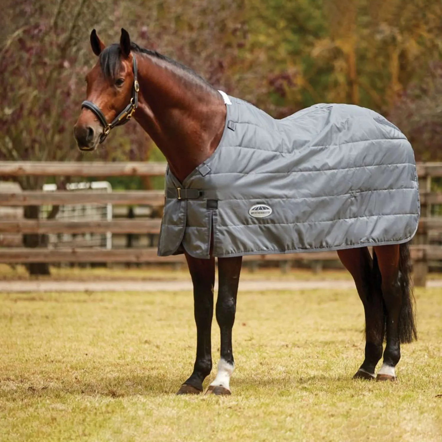 Weatherbeeta - Couverture Comfitec Thermi Heat Medium/Lite