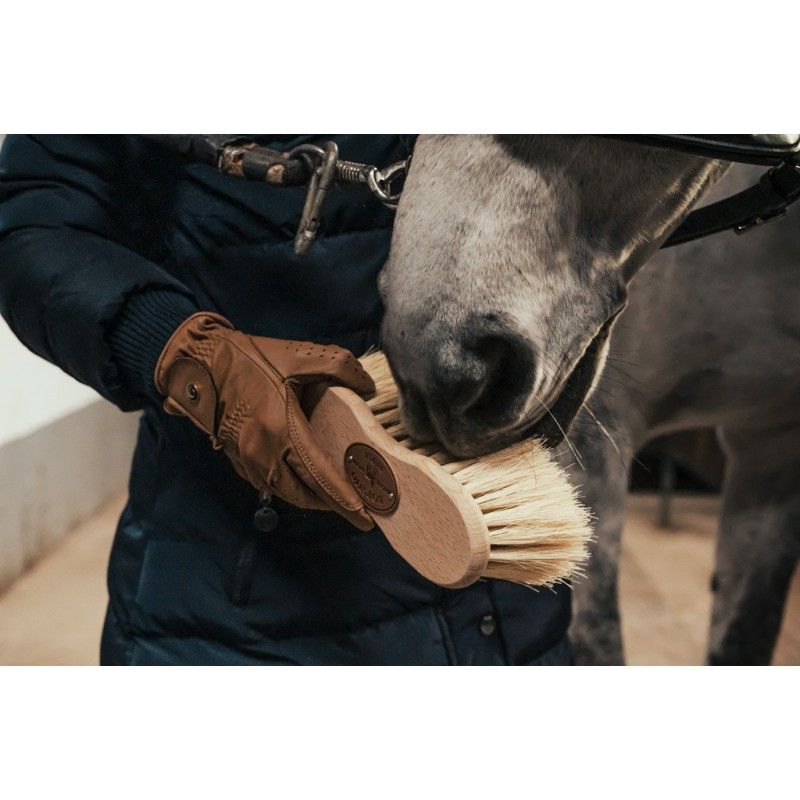 Borstiq - Brosse crins et fibres de Tampico