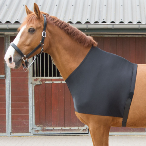 Harry&#39;s Horse - Protection d&#39;épaule