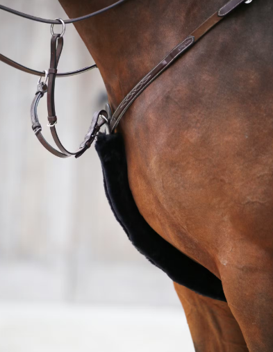 Kentucky Horsewear - Fourreaux de martingale
