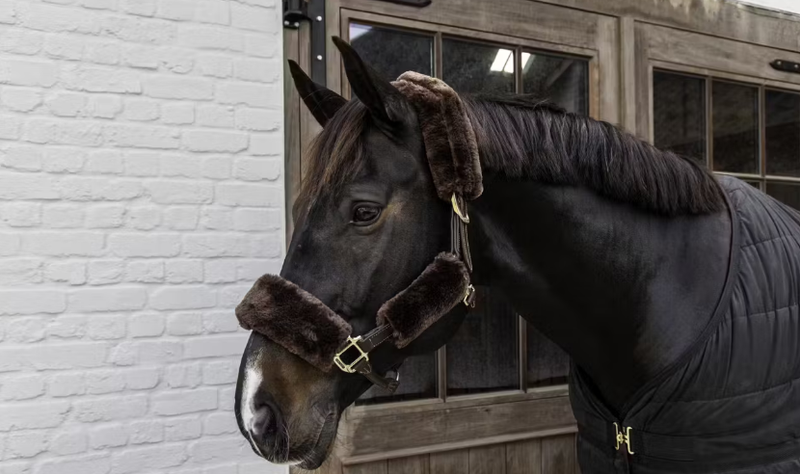 Kentucky Horsewear - Fourreau en mouton pour licol 4 pièces