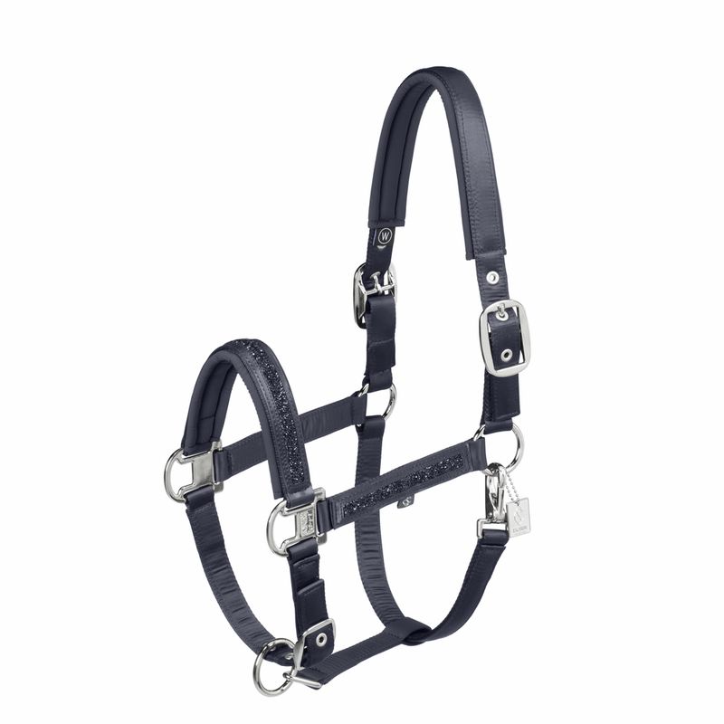 Eskadron - Licol Mattgloss Classic Sports 2025