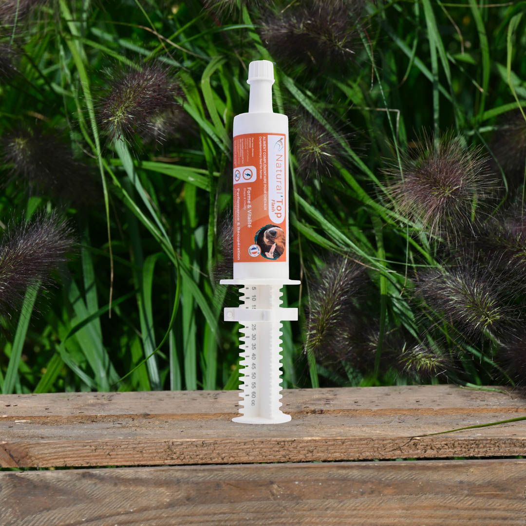 Natural&#39; Innov - Natural&#39; Top Flash 60ml