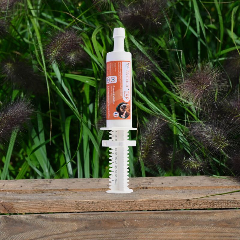 Natural&#39; Innov - Natural&#39; Top Flash 60ml