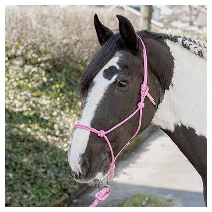 Harry&#39;s Horse - Licol corde