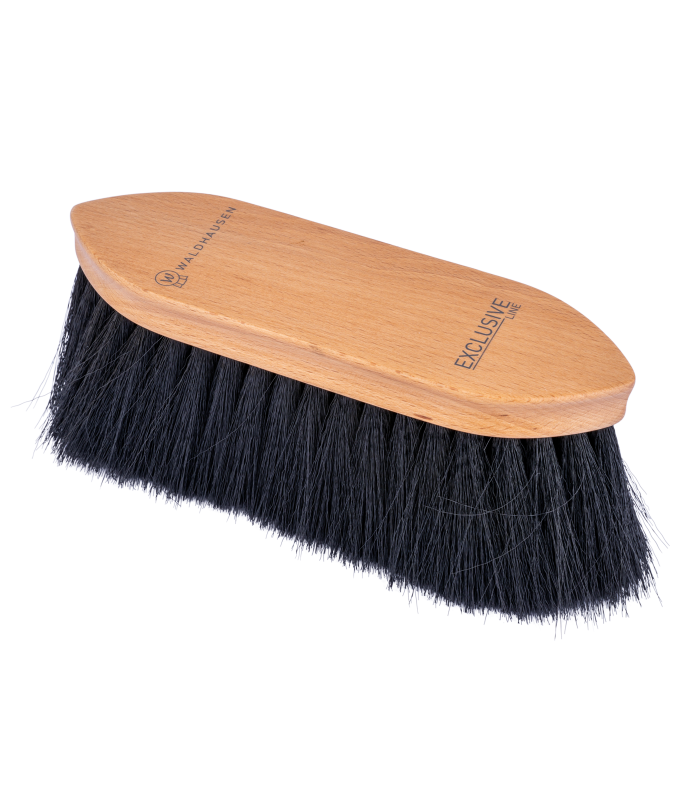 Waldhausen - Brosse poussière