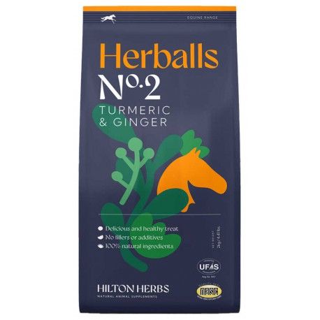 Hilton Herbs - Friandises Herballs Curcuma &amp; Gingembre 2kg