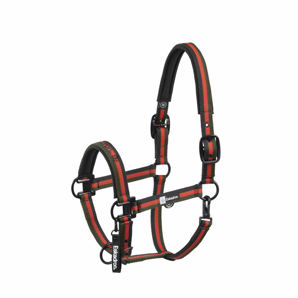 Eskadron - Licol Double Pin Dynamic 2025 orange vert et noir
