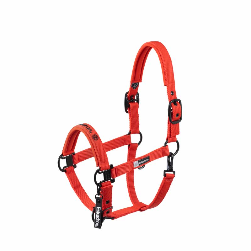 Eskadron - Licol Double Pin Dynamic 2025 orange