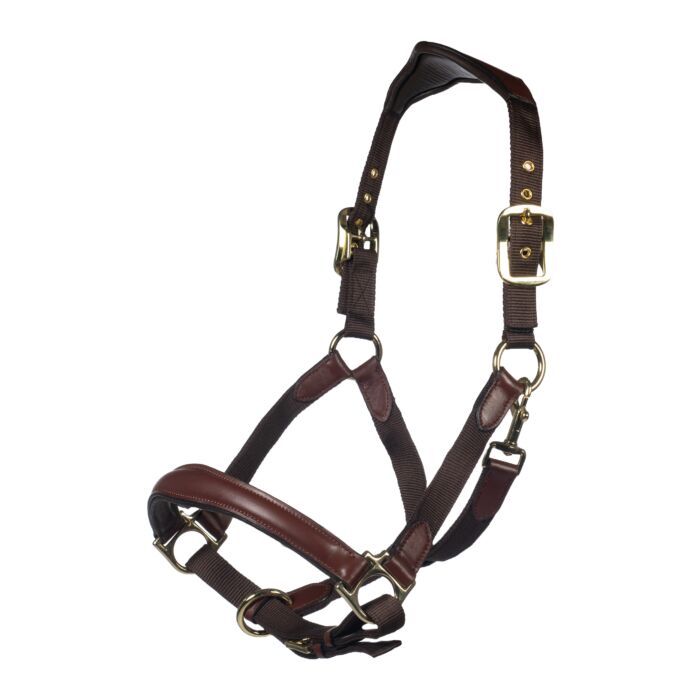 HKM - Licol Luna cuir et nylon