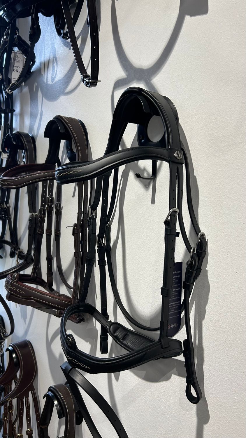 Antarès - Bridon Muserolle Combinée Signature Antarès - Bridon Muserolle Combinée Signature