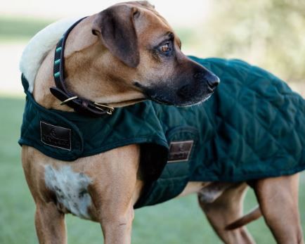 Kentucky Dogwear - Manteau matelassé vert foncé