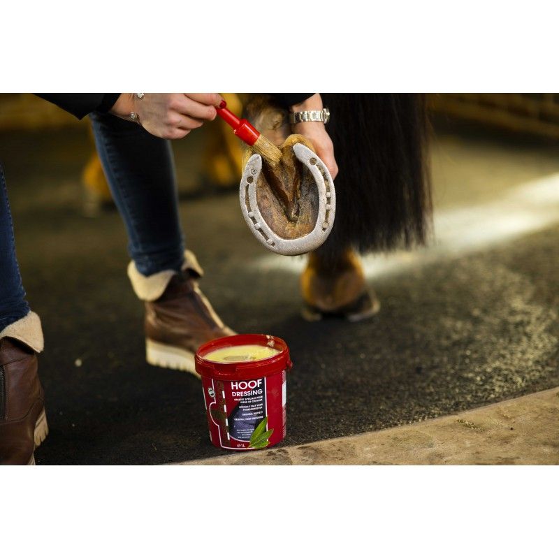 Kevin Bacon's - Hoof Dressing Blond Hiver 1L