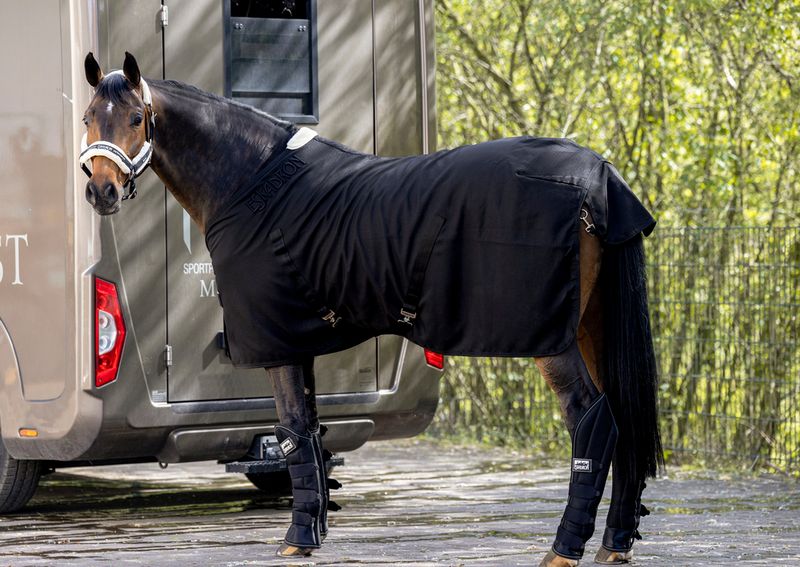 Eskadron - Chemise coton Ultralight Core