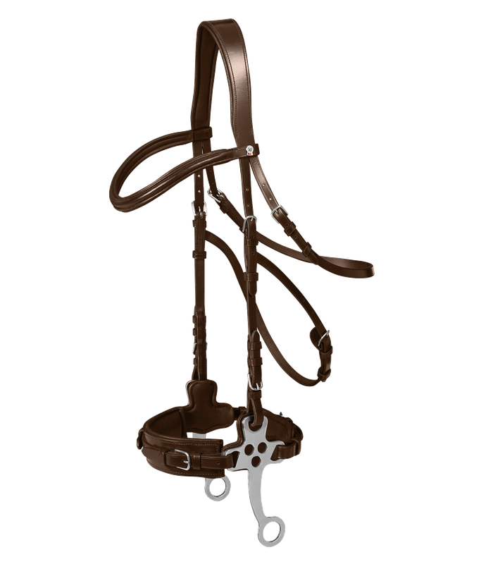 Waldhausen - Bridon hackamore