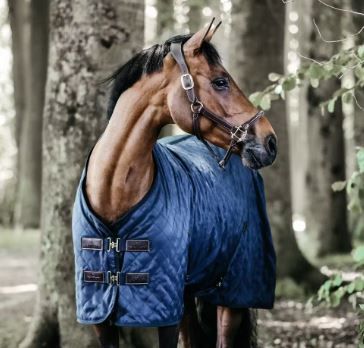 Kentucky Horsewear - Stable Rug 0gr