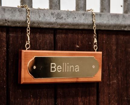 Kentucky Horsewear - Plaque de box