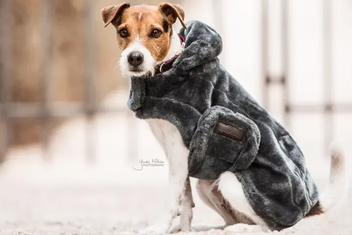 Kentucky Dogwear - Manteau Fake Fur