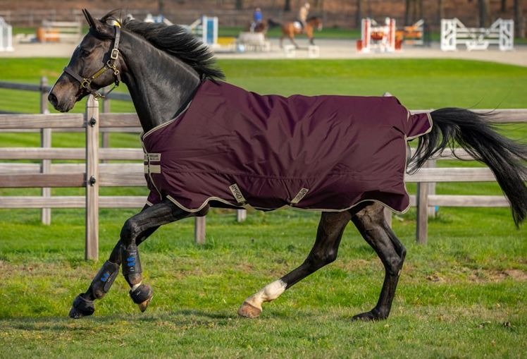 Horseware - Amigo Turnout Ripstop 100g