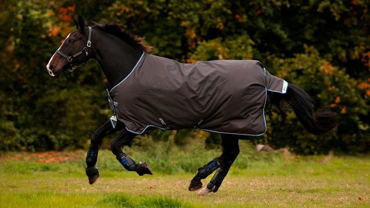 Horseware - Couverture Amigo Bravo 100g