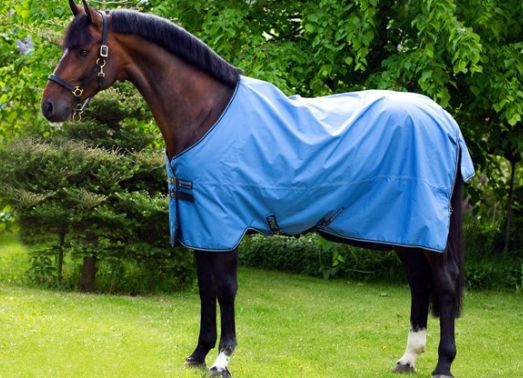 Horseware - Amigo 900 50g