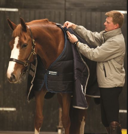 Horseware - Liner 300g