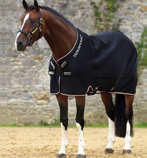Horseware - Rambo Airmax Cooler