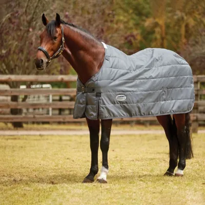 Weatherbeeta Couverture de box Comfitec Deluxe Quilt 250g (Bleu) | pri