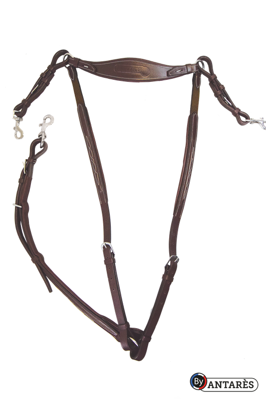 Antarès - Collier de chasse à pont