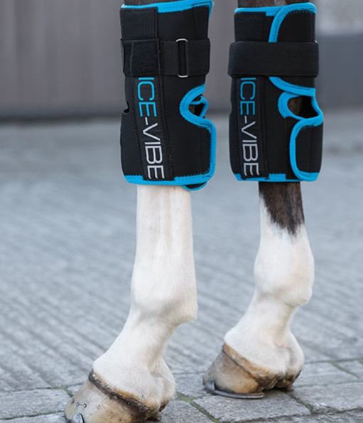 Horseware - Ice Vibe Genoux Horseware - Ice Vibe Genoux