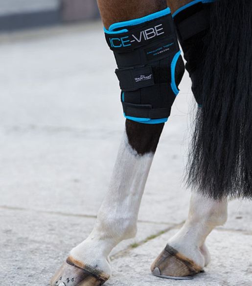 Horseware - Ice Vibe jarrets Horseware - Ice Vibe jarrets