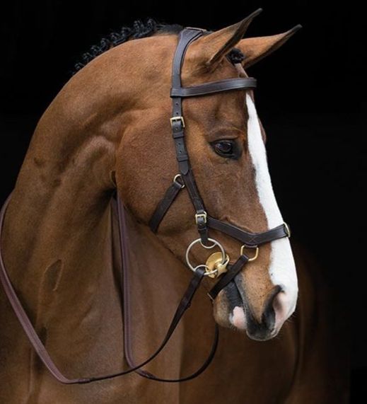 Horseware - Micklem Multi Horseware - Micklem Multi