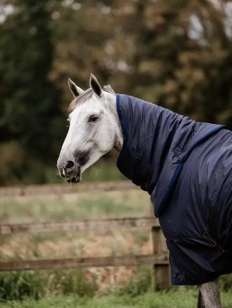 Kentucky Horsewear - Couvre-Cou All Weather Hurricane 150g