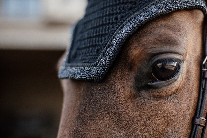 Kentucky Horsewear - Bonnet Wellington Glitter Stone