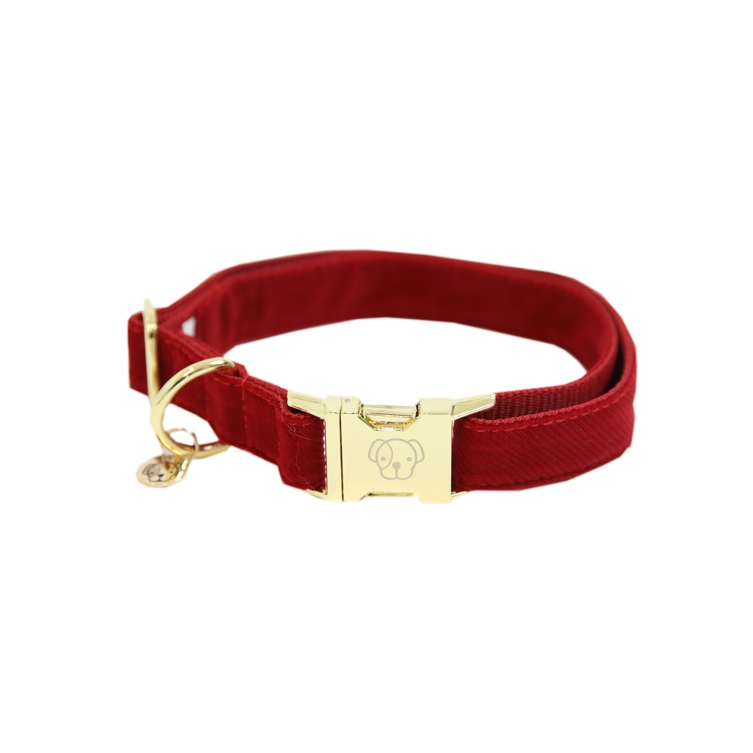 Kentucky Dogwear - Collier Corduroy Kentucky Dogwear - Collier Corduroy