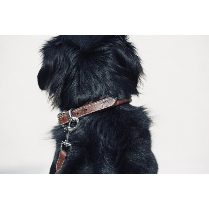 Pénélope - Collier pour chien Point Sellier