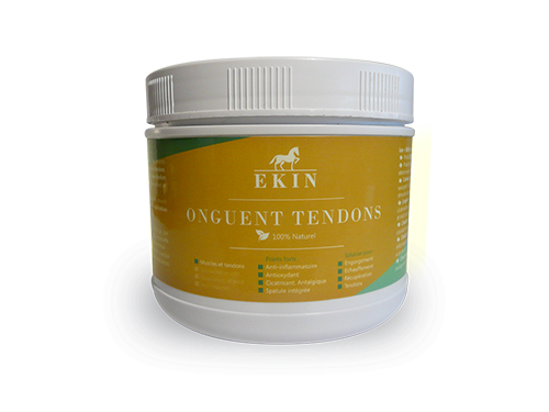 Ekin - Onguent tendons