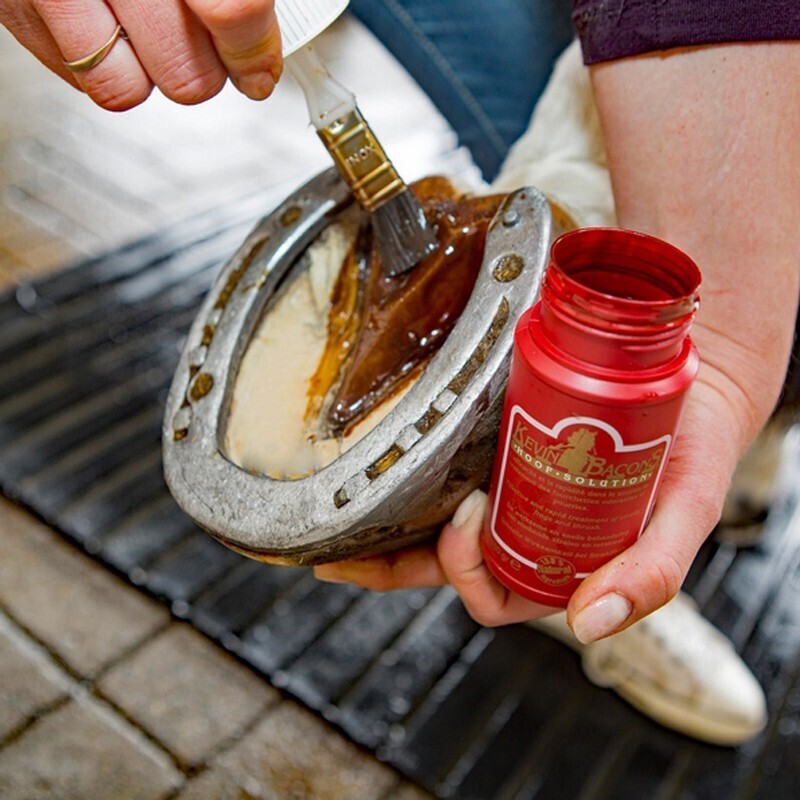 Kevin Bacon's - Hoof Solution