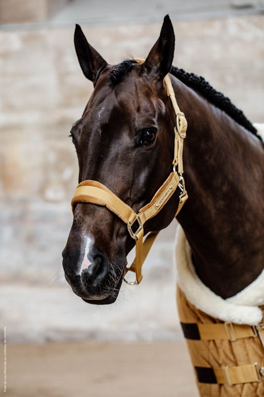 Kentucky Horsewear - Licol Velvet