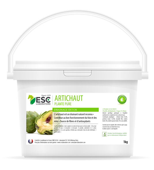ESC Laboratoire - Artichaut